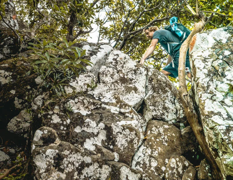La randonnée de la montagne du lion se termine par une partie un peu plus technique.