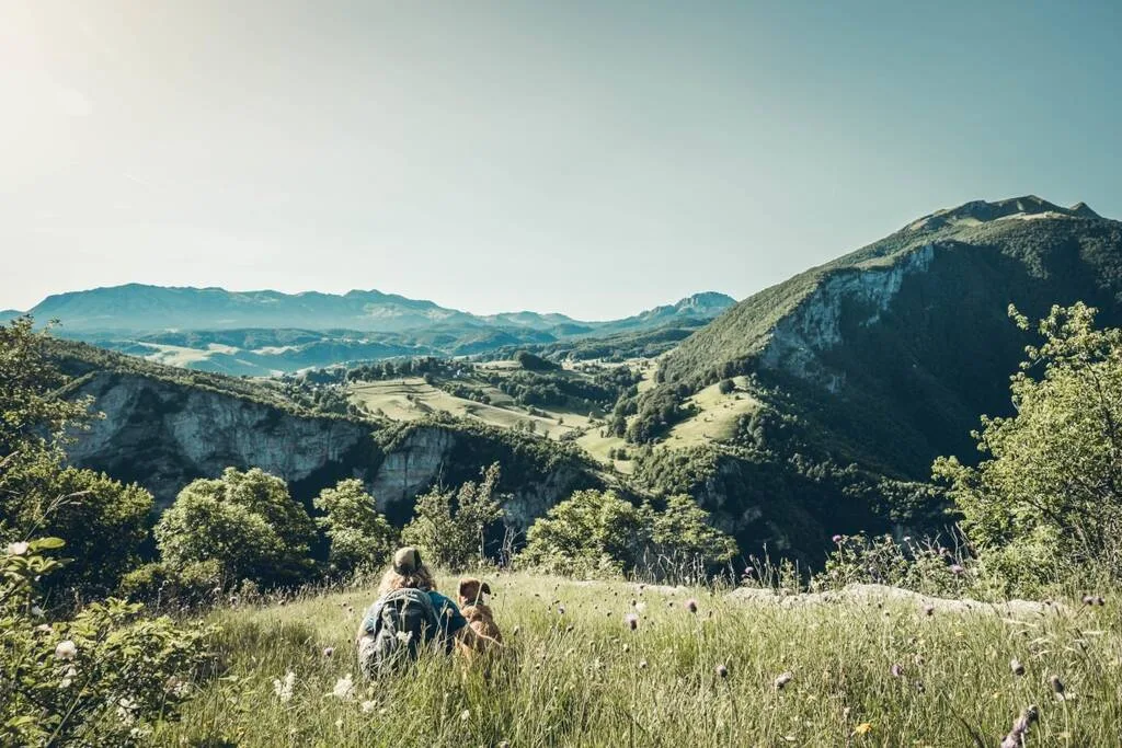 un homme avec son chien devant un paysage