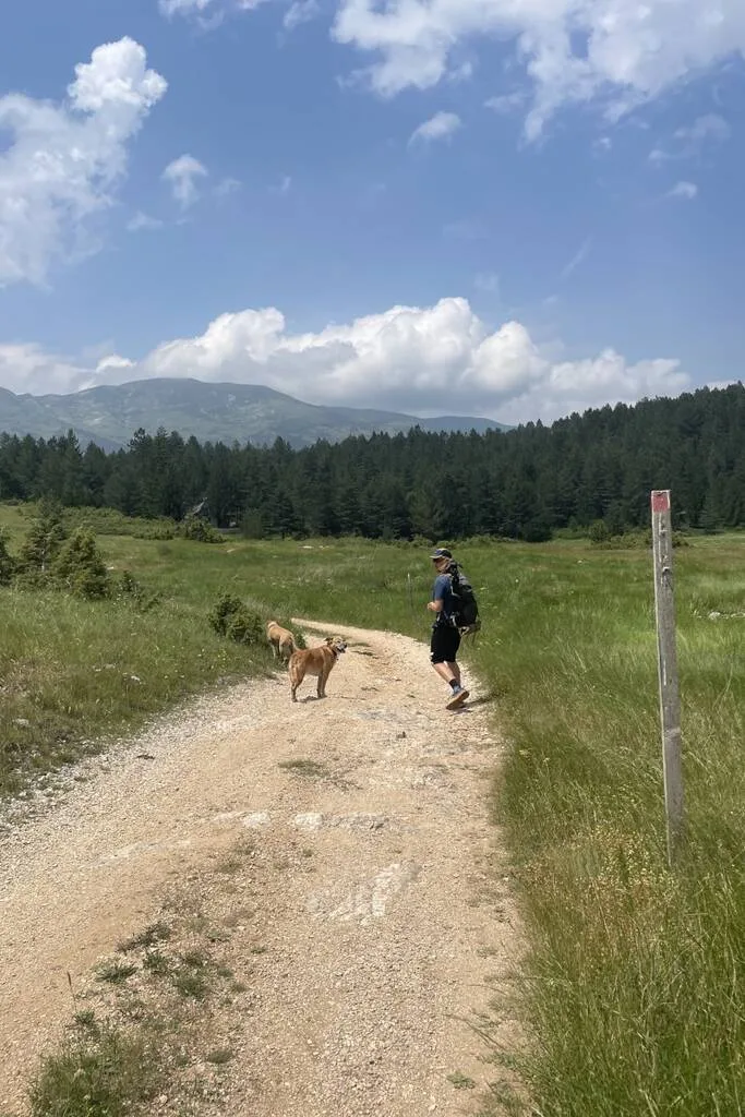 un homme et deux chiens randonnent à Mali Vilinac en Bosnie Herzégovine