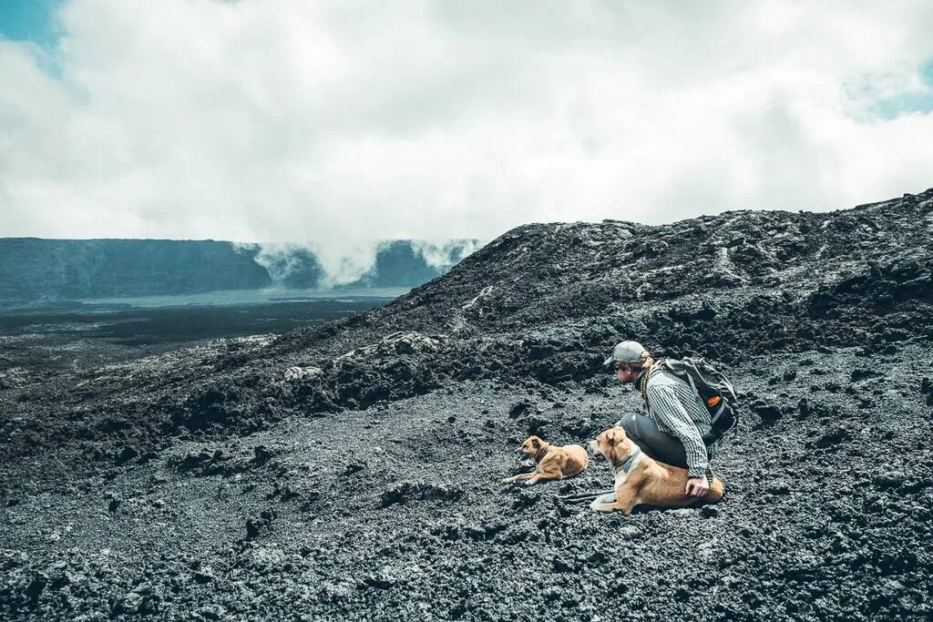 Homme avec deux chiens dans l'enclos du Piton de la Fournaise à la Réunion.