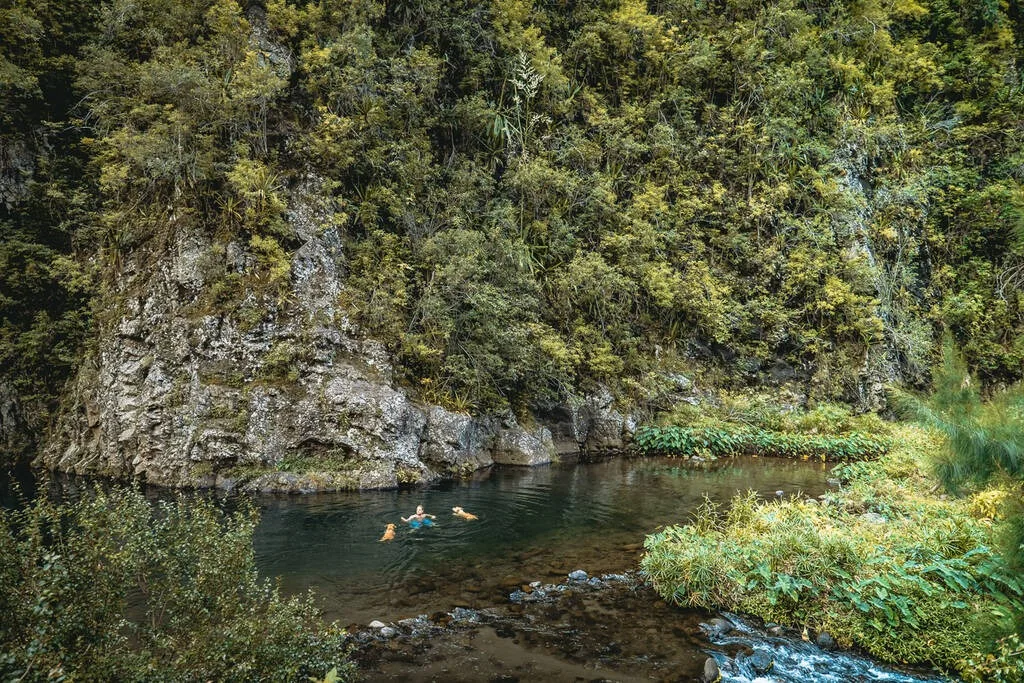 Un homme et deux chiens dans un bassin sur le chemin de la rivière de Saint-Denis à la Réunion