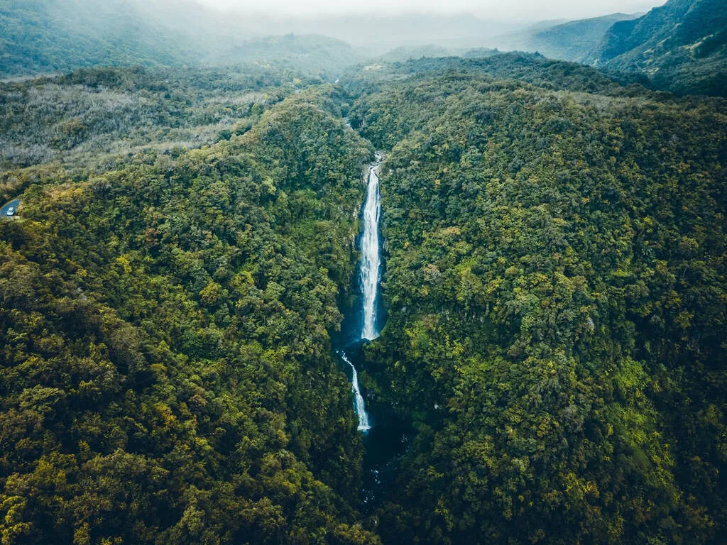 cascade du chien à la réunion