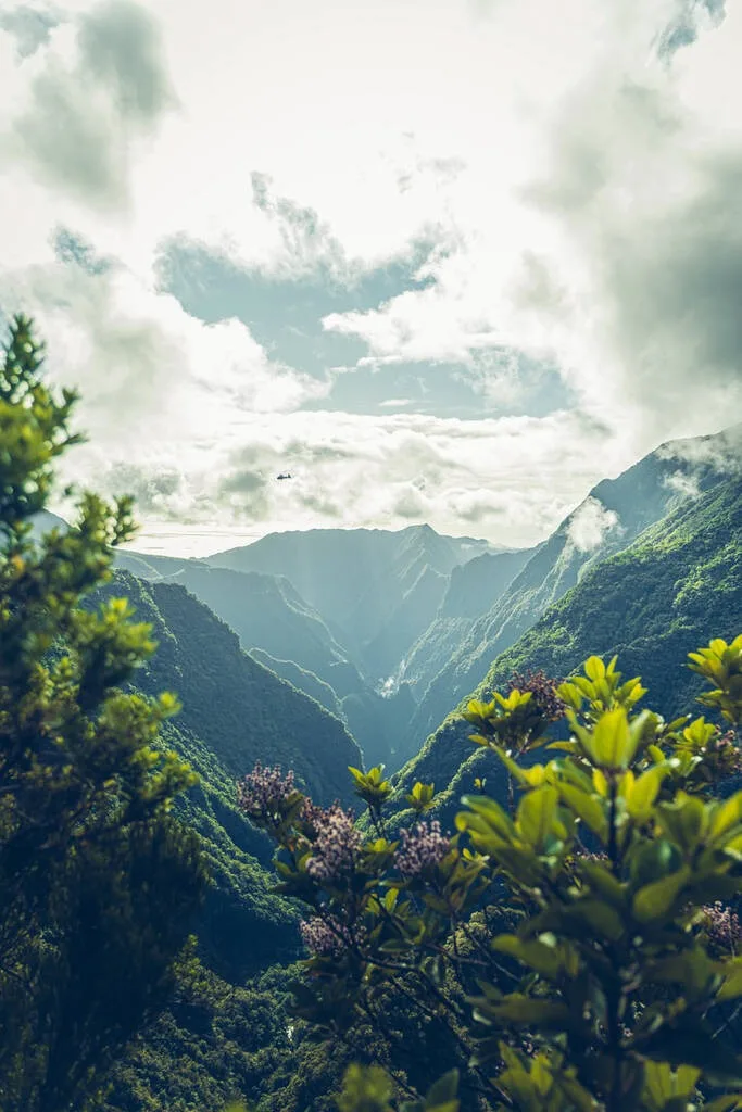 Point de vue du cassé de Takamaka à la Réunion