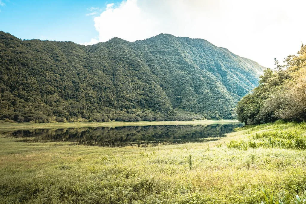 Grand étang sur l'île de la Réunion