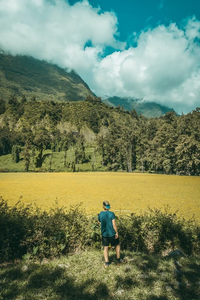Un homme devant la mare à poule d'eau toute jaune à la Réunion.