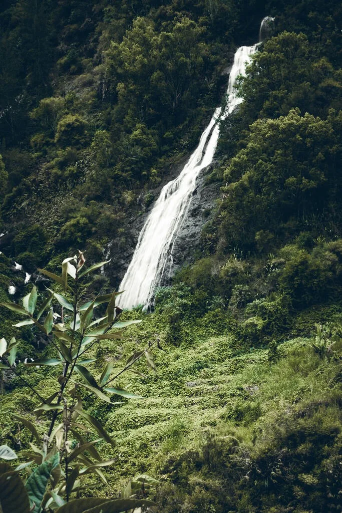 la cascade du voile de la mariée à la Réunion