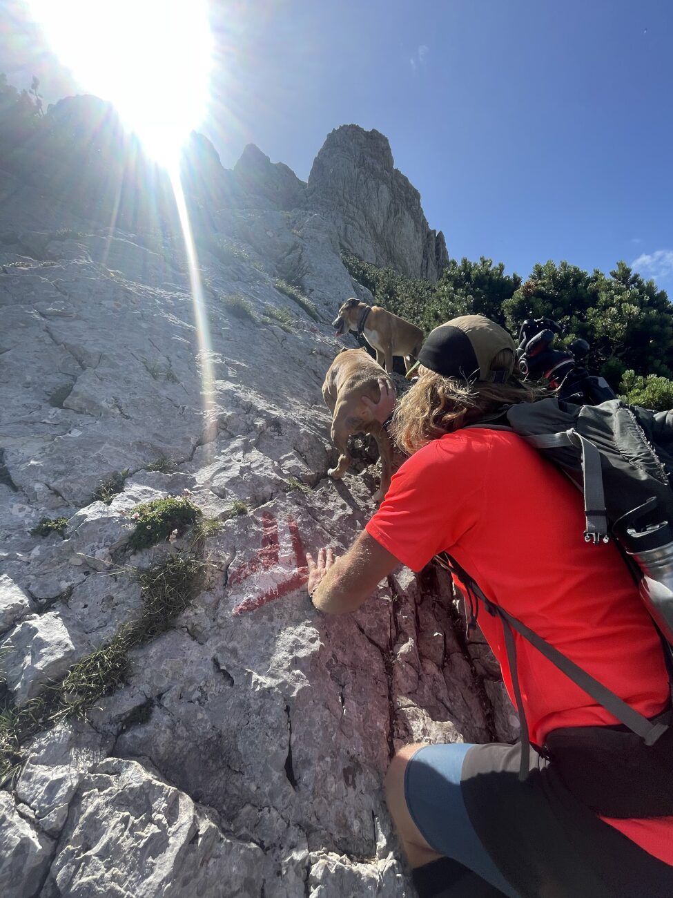 Deux chiens qui grimpent avec un homme sur une randonnée au Monténégro