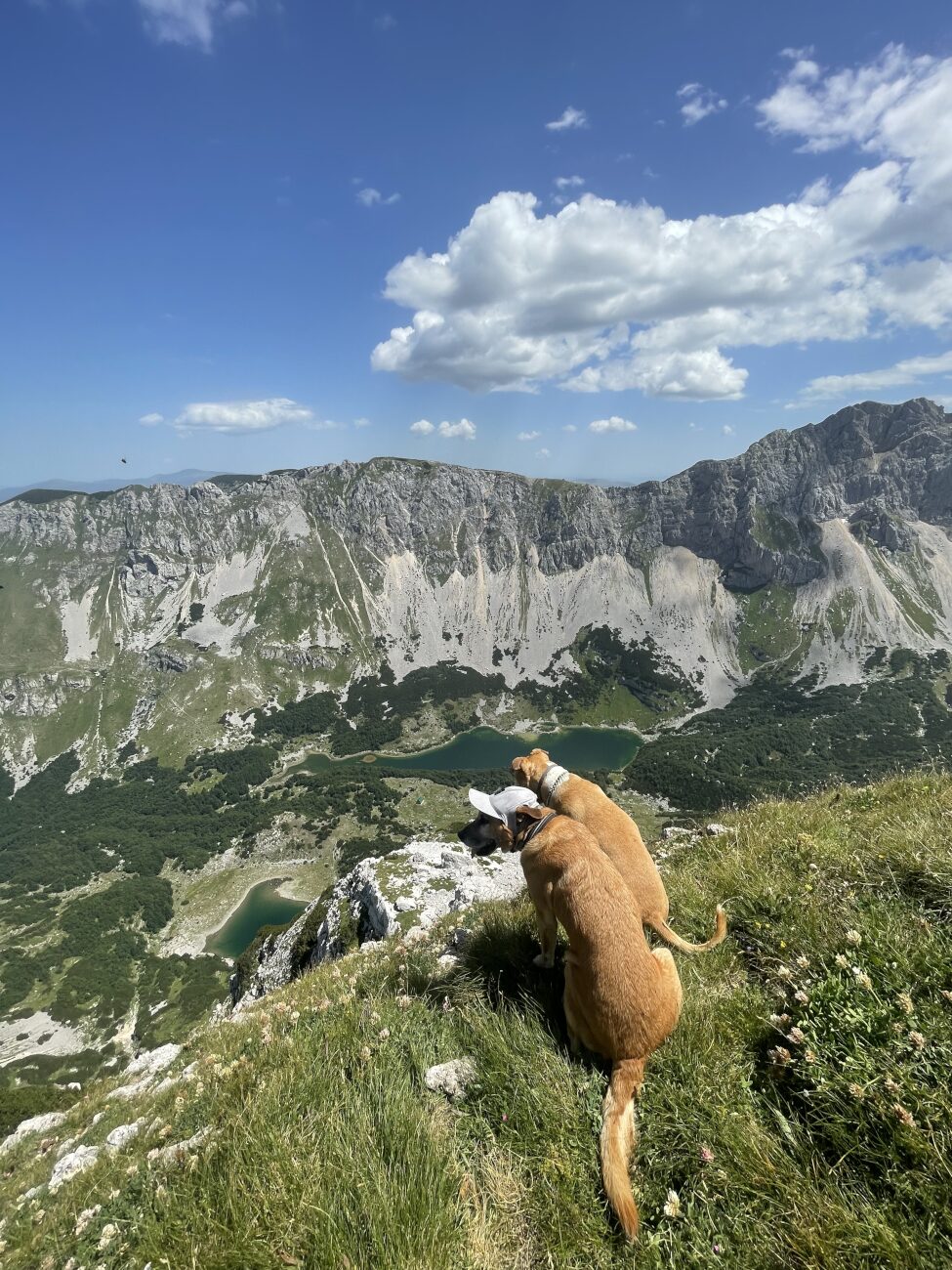 deux chiens au sommet du mont Prutas devant une vue sur les montagnes au Monténégro