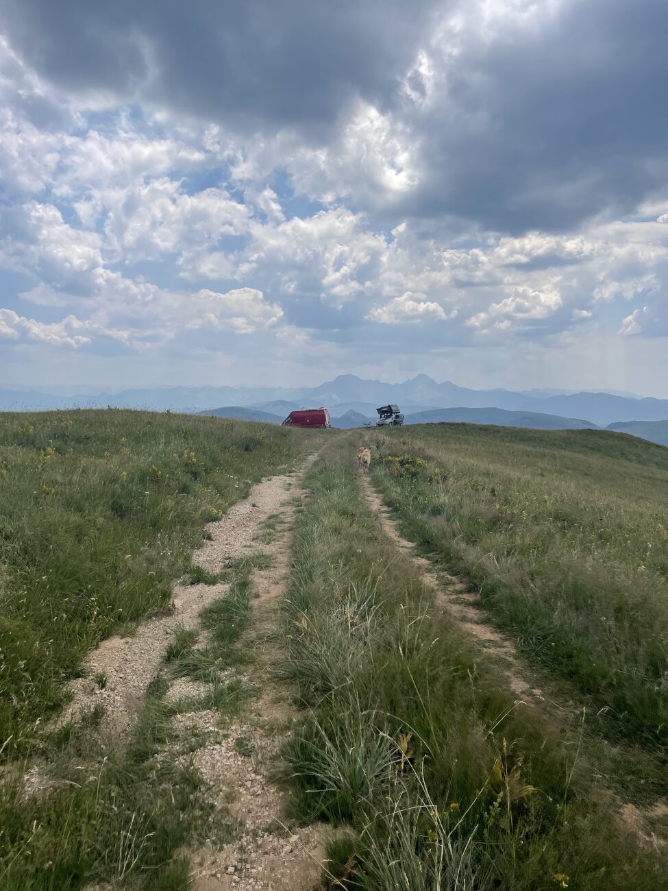 un fourgon et une voiture avec des chiens dans le parc national Biogradska au Monténégro