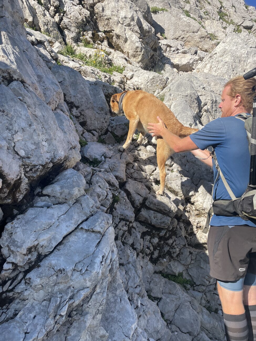 un chien qui se fait aider par un homme pour grimper une paroi rocheuse